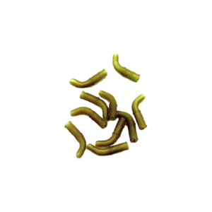 Line Aligner